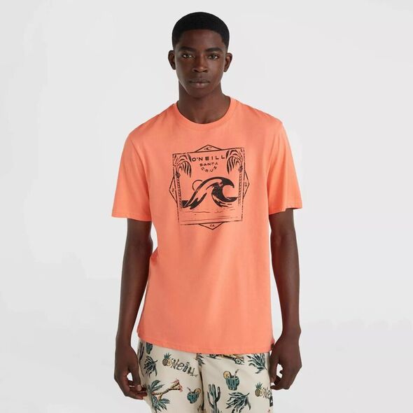 O Neill Męska Koszulka z krótkim rękawem MIX & MATCH WAVE T-SHIRT