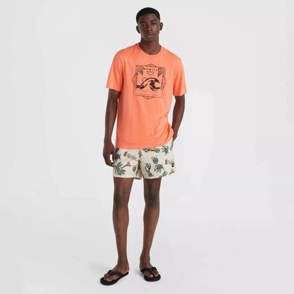 O Neill Męska Koszulka z krótkim rękawem MIX & MATCH WAVE T-SHIRT
