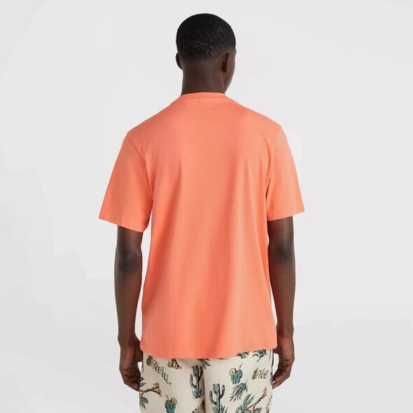 O Neill Męska Koszulka z krótkim rękawem MIX & MATCH WAVE T-SHIRT