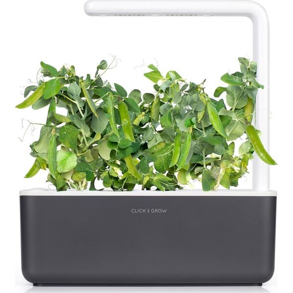 Click And Grow Click and Grow ανταλλακτικό πράσινο μπιζέλι 3-πακ