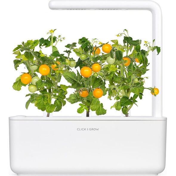 Click And Grow Κάντε κλικ και μεγεθύνετε ξαναγεμίστε κίτρινη ντομάτα 3-συσκευασία 6484466 4742793009124