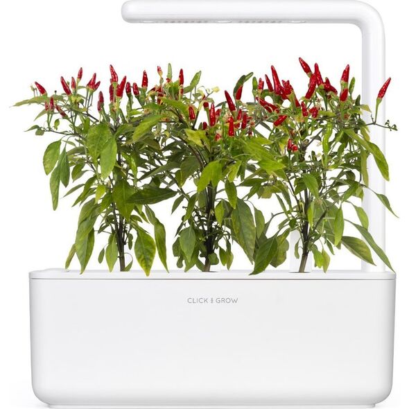 Click And Grow Click & Grow Smart Garden refill Piri Piri Chili Pepper 3pcs