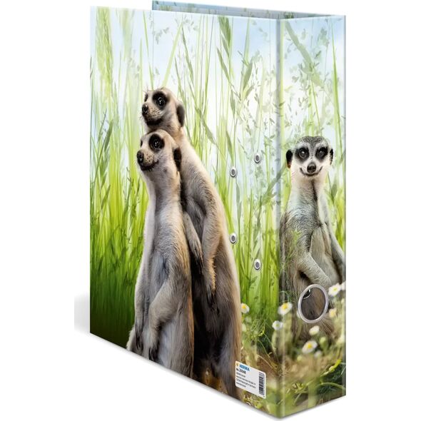 Κλασέρ Herma HERMA Ordner A4 Cardboard Erdmännchen