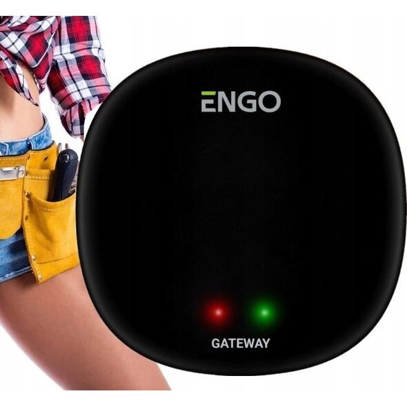 Engo Engo bramka internetowa ZigBee do urządzeń serii ENGO Smart EGATEZB