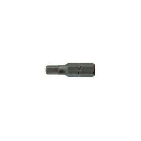 Teng Tools Grot imbusowy H5 25mm (10610-0407)