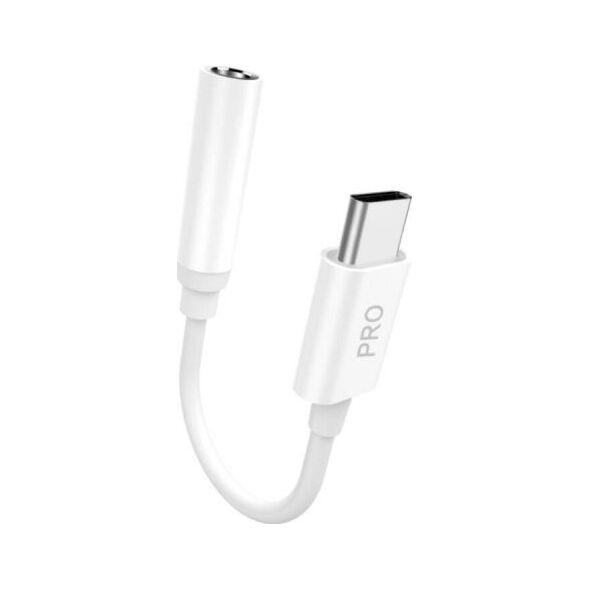 Adapter USB Dudao L16CPro USB-C - DisplayPort Mini Biały  (dudao_20200226110048)