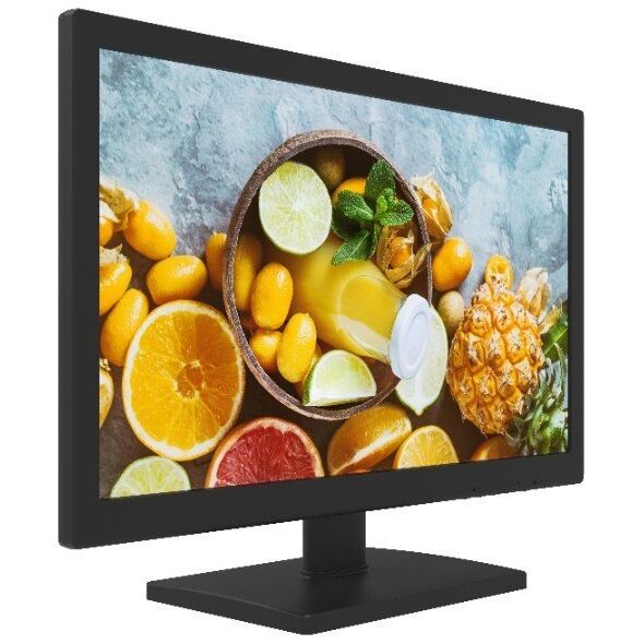 Monitor Hikvision DS-D5019QE-B