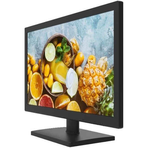 Monitor Hikvision DS-D5019QE-B