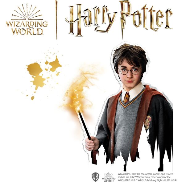 SES SES Harry Potter koraliki do naprasow.09346 93464