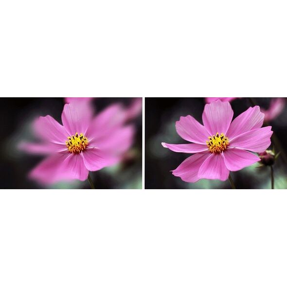 Filtr Ostry Pas Środek Center Field Split Diopter K&F NANO-B na 67 mm 67mm / KF01.2669V1