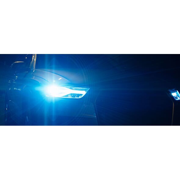 Philips Żarnik ksenonowy PHILIPS D2R WhiteVision (1 sztuka)