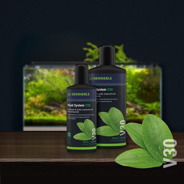 Dennerle Plant System V30 250 ml