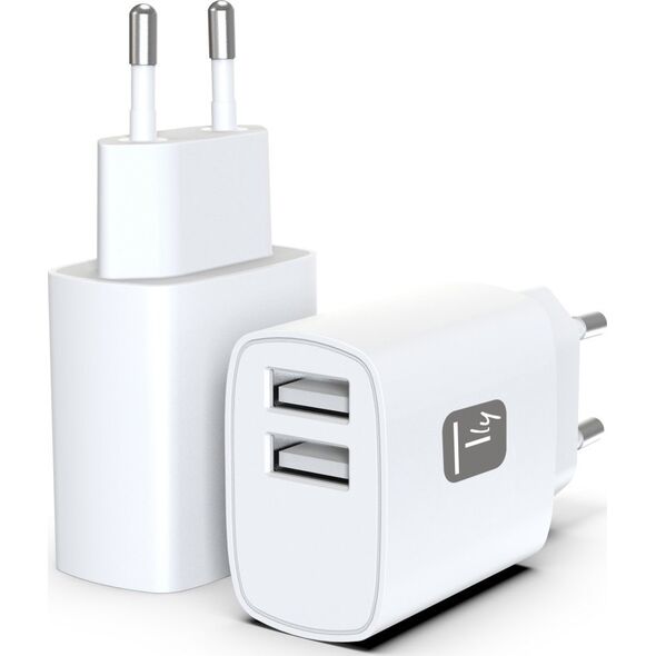 Techly IPW-USB-12W2A ładowarka do urządzeń przenośnych Słuchawki, Przenośny głośnik, Power bank, Smartfon, Tablet Biały Prąd przemienny Wewnętrzna