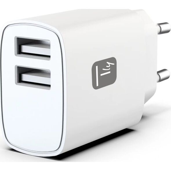 Techly IPW-USB-12W2A ładowarka do urządzeń przenośnych Słuchawki, Przenośny głośnik, Power bank, Smartfon, Tablet Biały Prąd przemienny Wewnętrzna