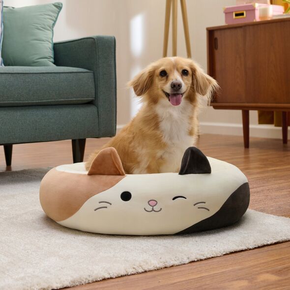 JAS PETS LEGOWISKO S 50CM KOT