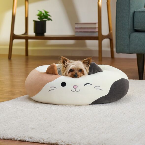 JAS PETS LEGOWISKO M 60CM KOT