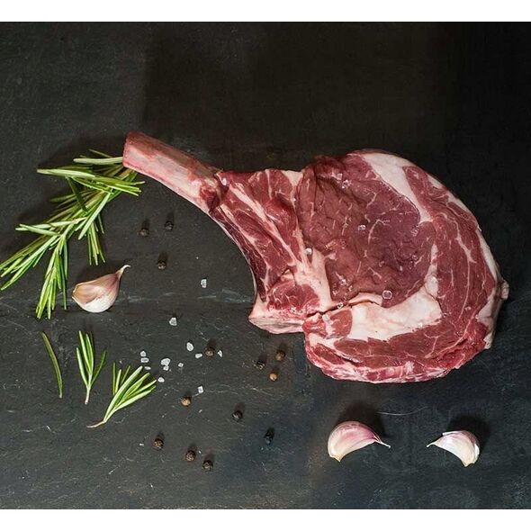 Ψυγείο κρασιού Caso Germany DryAged Master 63
