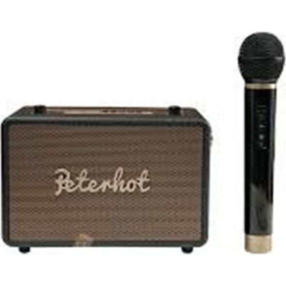 Peterhot A105 Portable Speaker / Karaoke system Bluetooth / USB / SD Card / AUX