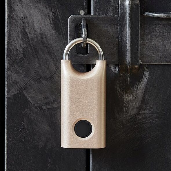 Lexon Nomaday Fingerprint Lock soft gold LL128D