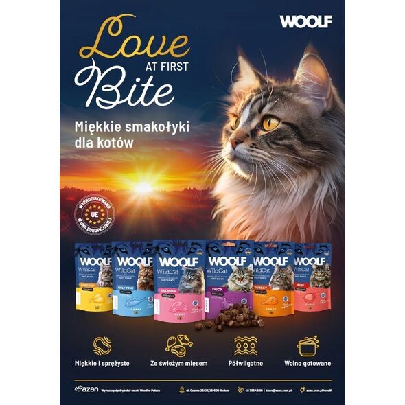 WOOLF WILDCAT przysmak KOT 50g SOFT       SNACKS SALMON