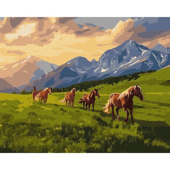 Malowanie po numerach - Wolny duchem 40x50cm