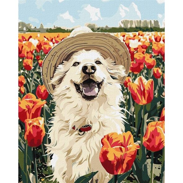 Malowanie po numerach -Szczęśliwy labrador 40x50cm