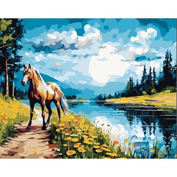 Malowanie po numerach 40x50 Koń