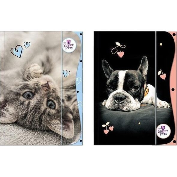 Teczka z gumką A4 The Sweet Pets EDUKAMP