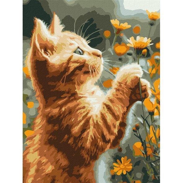Norimpex Malowanie po numerach - Rudy puszystek 30x40cm
