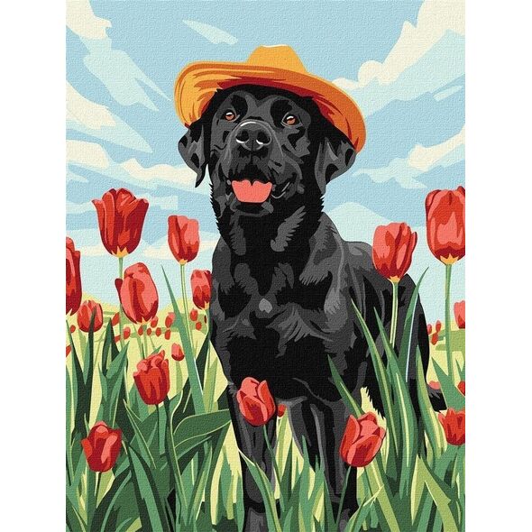 Norimpex Malowanie po numerach - Uroczy labrador 30x40cm
