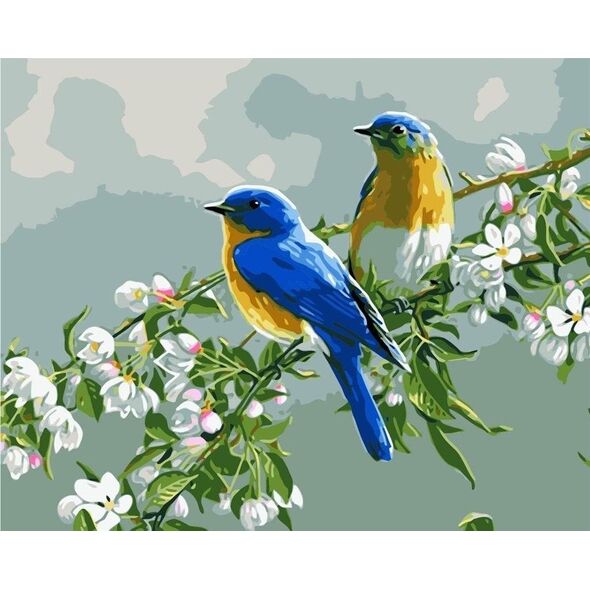Malowanie po numerach - 40x50cm Ptaki EDUKAMP
