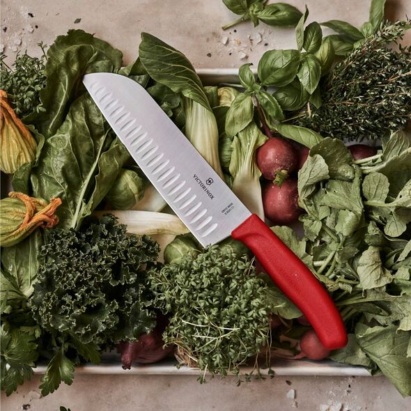 Victorinox Swiss Classic Santokumesser 17cm κόκκινο