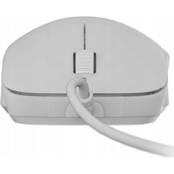 Mysz Endgame Gear Endgame Gear XM2 8k Gaming Maus, kabelgebunden - White Frost