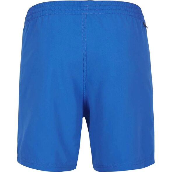 Męskie szorty O'neill Cali Shorts victoria blue rozmiar S