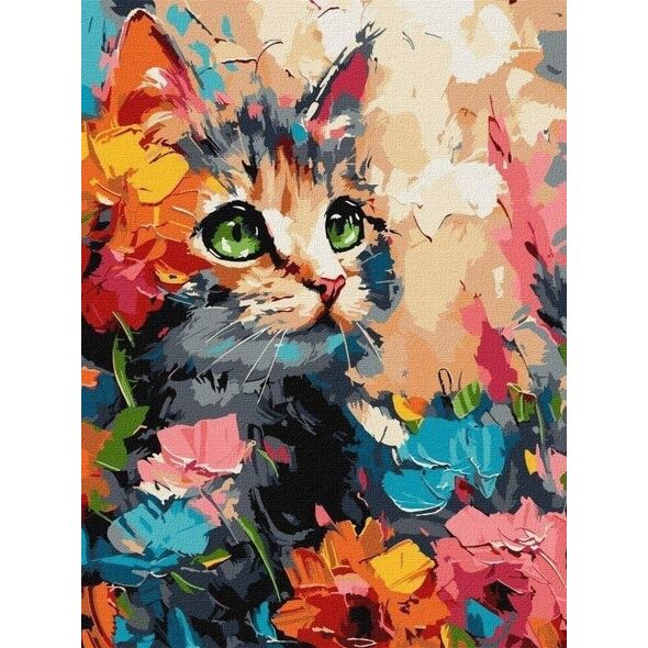 Malowanie po numerach - Puszysty kot 30x40cm EDUKAMP