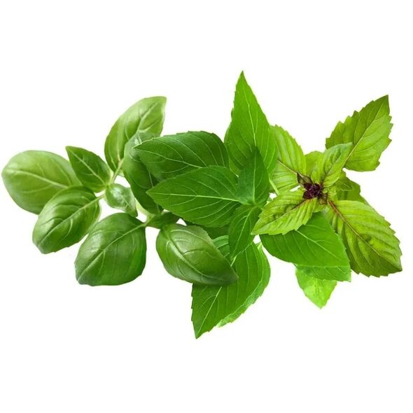 Click And Grow Click And Grow Click & Grow Κάψουλα Φυτού Μείγμα Ποικιλίας Βασιλικού 9 τεμ