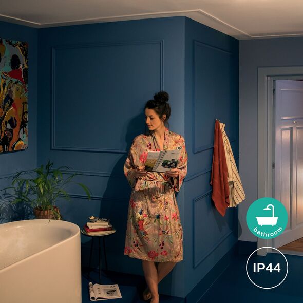 Φωτιστικό Μπάνιου Philips Hue White Ambience Adore