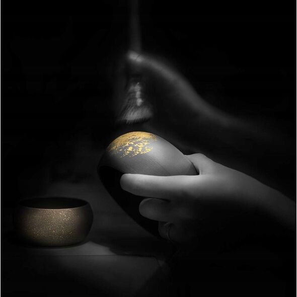 Πιάτο Revol Cosmic Gold 30x14 cm