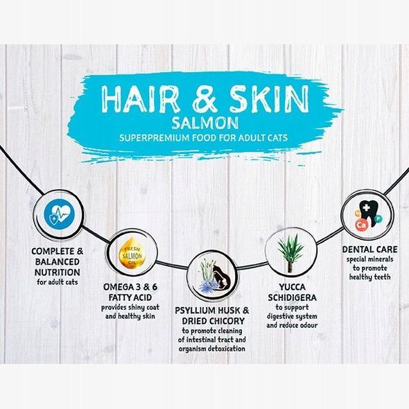 ONTARIO Cat Hair & Skin 2kg (Μαλλί και δέρμα)