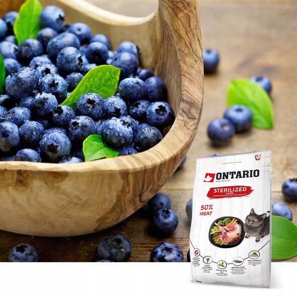 ONTARIO Γάτα Στειρωμένη αρνί 2kg (Για στειρωμένες με αρνί)