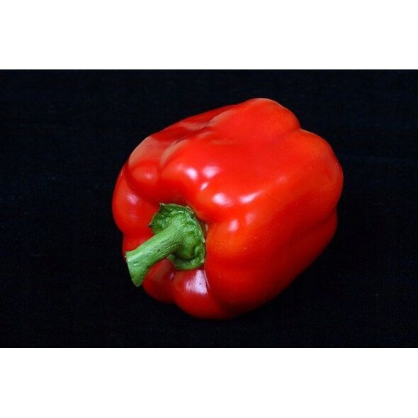 TORAF ΠΙΠΕΡΙΑ CALIFORNIA WONDER CAPSICUM ANNUUM L. [0,5 G]