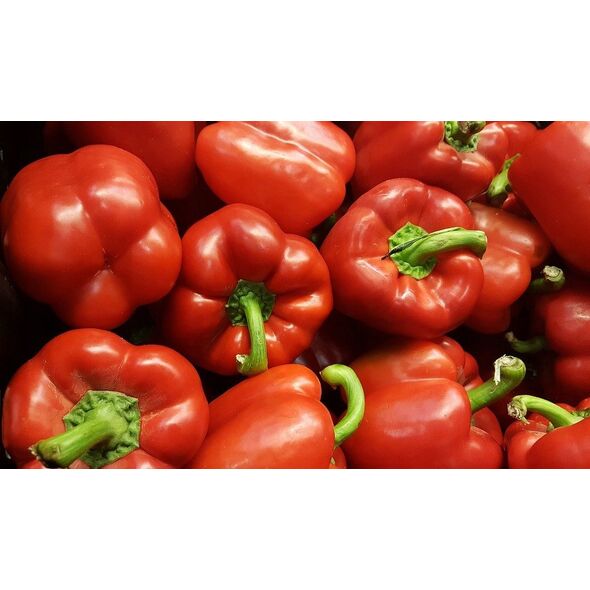 TORAF ΠΙΠΕΡΙΑ CALIFORNIA WONDER CAPSICUM ANNUUM L. [0,5 G]