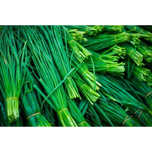 TORAF ΣΧΟΙΝΟΒΟΤΑΝΟ BOHEMIA ALLIUM SCHOENOPRASUM L. [2 G]