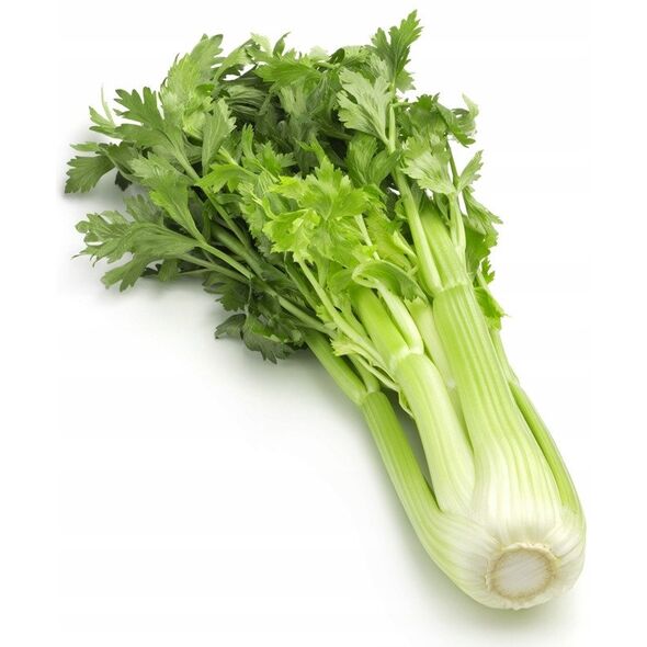 TORAF ΣΕΛΙΝΟ ΝΑΝΟ NUGET APIUM GRAVEOLENS L. VAR. DULCE 0,5 G