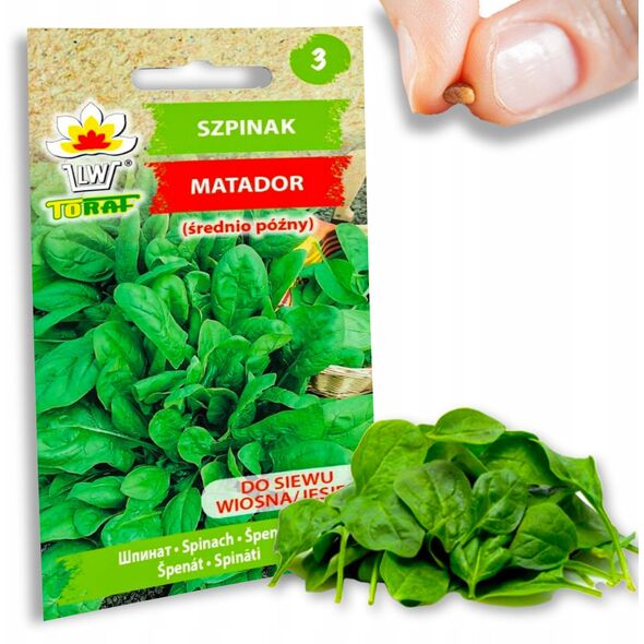 ΣΠΙΝΑΚΙ MATADOR SPINACIA OLERACEA L. [5 G]