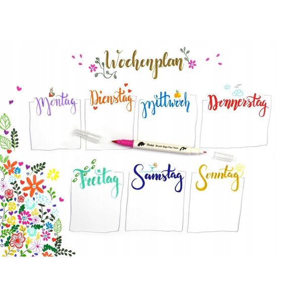 Πινέλο Pentel Brush Sign Pen Twin SESW30