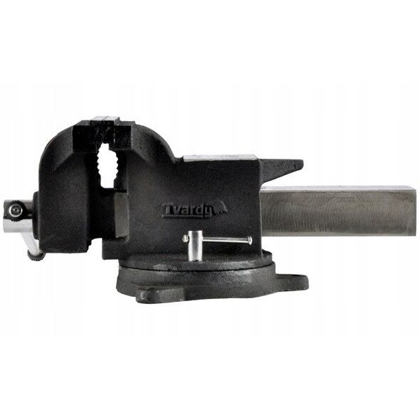Επαγγελματική Μέγγενη 8" (200mm) 25GW (1)
