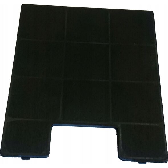 Carbon filter Guzzanti FW-K225)