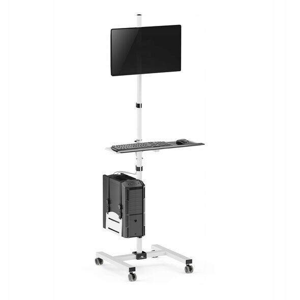MACLEAN WÓZEK STAND PROFESJONALNY, MOBILNE STANOWISKO KOMPUTEROWE NA KÓŁKACH, MAX 17"-32", MAX 20KG MC-793 W