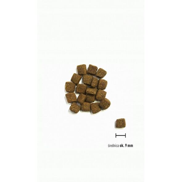 ORIJEN Small Breed Marine Fish małe rasy pies 1,8kg